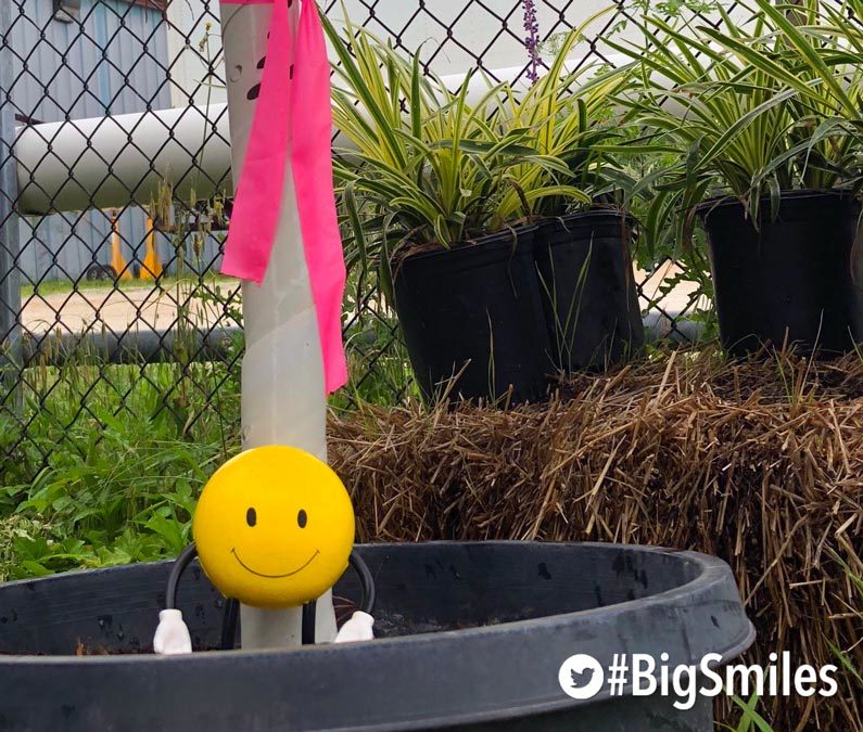BIG SMILE MONDAY July 16, 2018