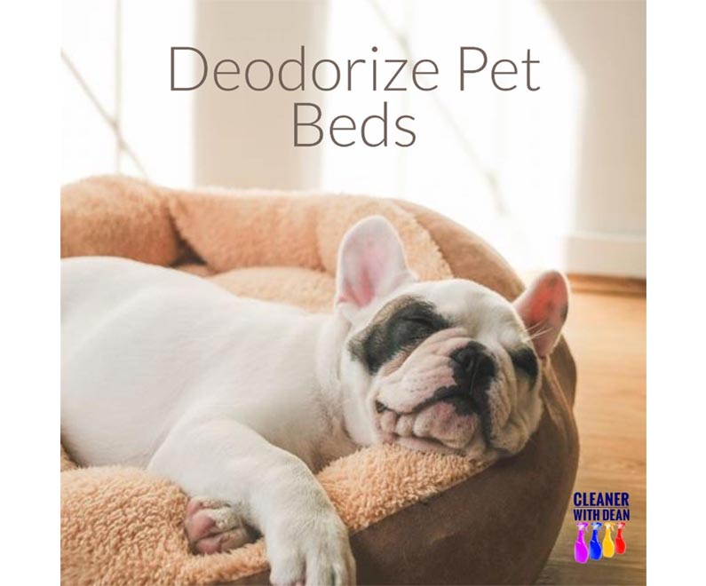 Your weekly cleaning tip from the best commercial janitorial cleaning services company in Dayton: Deodorize pet beds