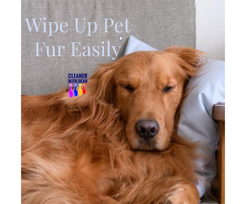 Your weekly cleaning tip from the best commercial janitorial cleaning services company in Dayton: Wipe up pet fur easily